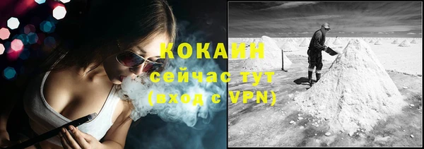 спайс Богданович