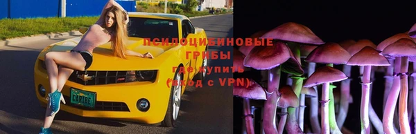 бутик Бородино