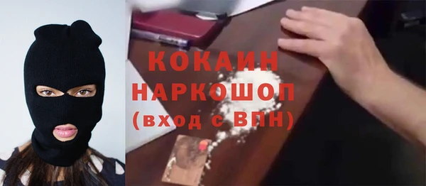 спайс Богданович