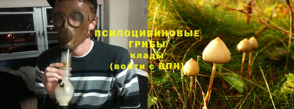 спайс Богданович
