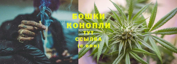 спайс Богданович
