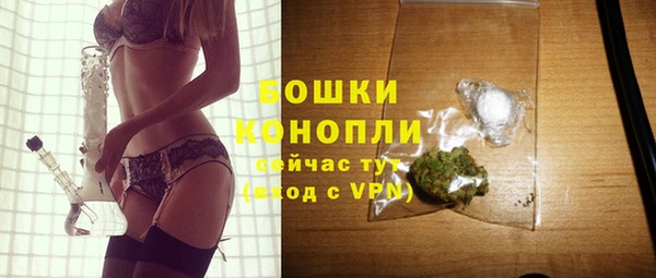 прущие грибы Бугульма